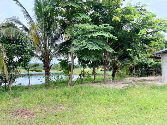 2. ลงพื้นที่สำรวจความเรียบร้อยร่วมกับองค์การบริหารส่วนตำบลสักงาม วันที่ 8 กันยายน 2566 ณ สวนพ่อพอเพียง องค์การบริหารส่วนตำบลสักงาม